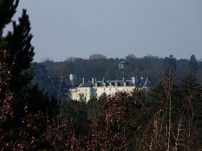 -Antonne_forêt_Lanmary_château