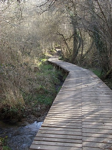 Passerelle Boucle des Etangs