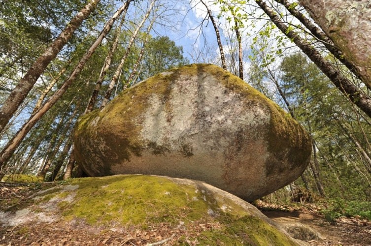 Etangs des Merles Rochers