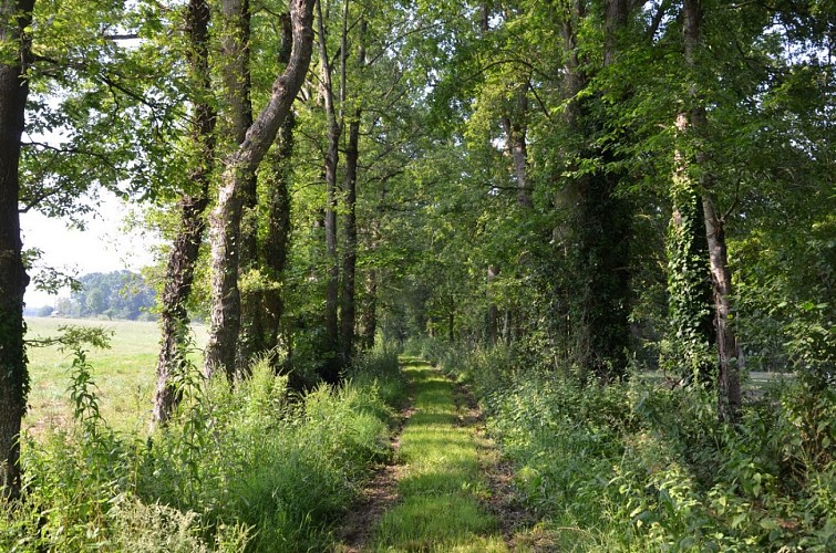 Les virées madennaises