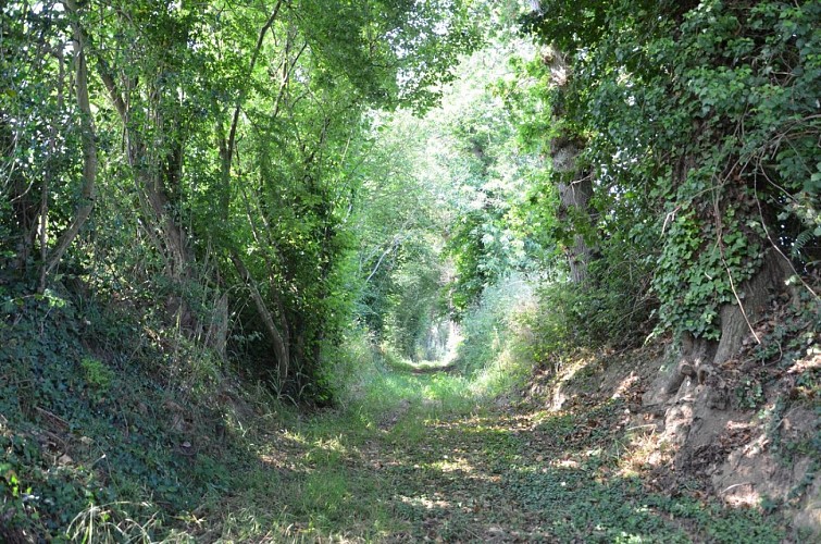 Les virées madennaises