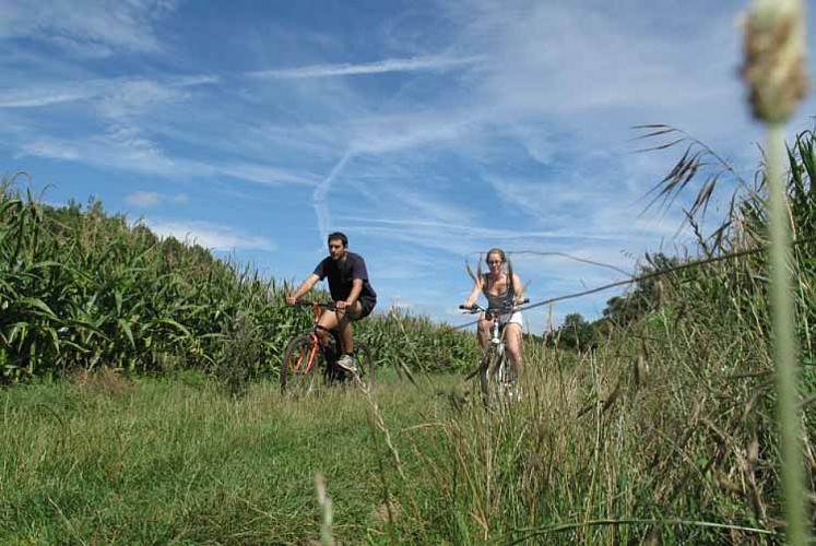 Sortie VTT, randonnée depuis L'Orée de Giverny vers La Roche Guyon