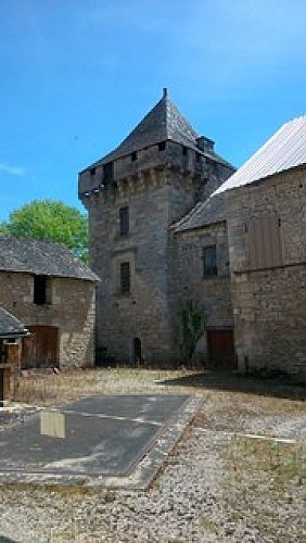 donjonchateaudecondat1