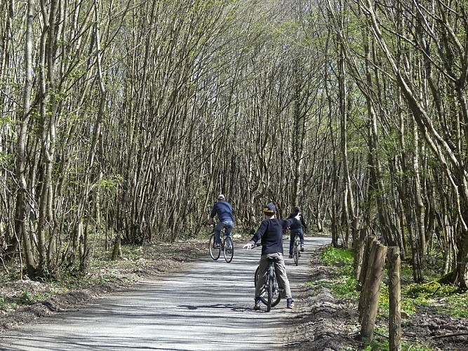 vélo route voie verte 06.04 (9)