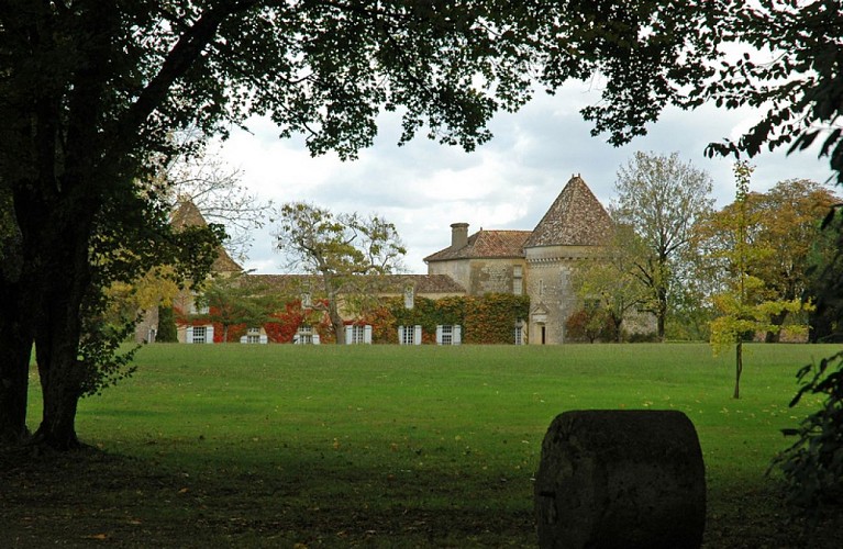 Château du Roc - 01
