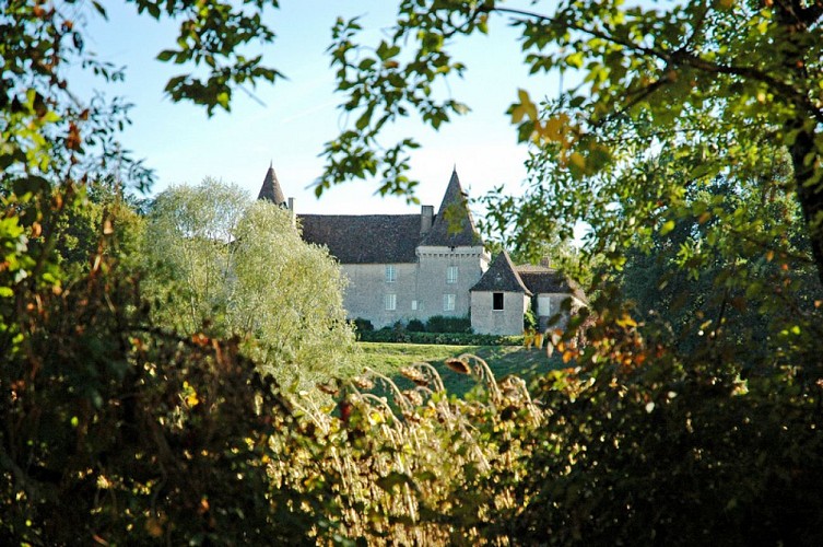 Château  de Bardou - 02