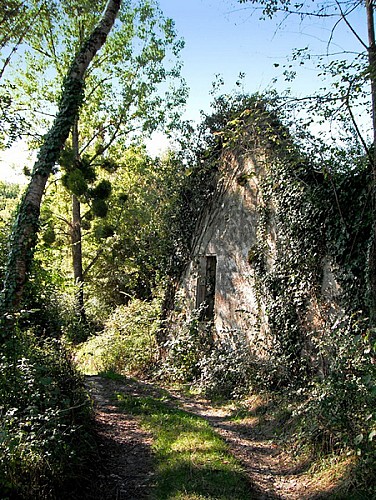 Ruine Moulin Pincanelle 06