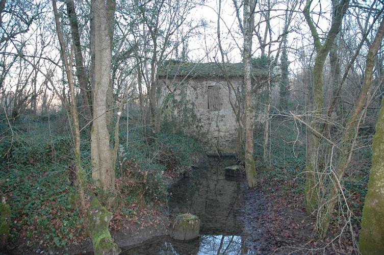 Hiver Moulin de La Rode 10-12 03