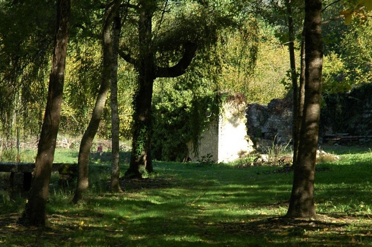 Paysages Moulin étang 06-10 - 09