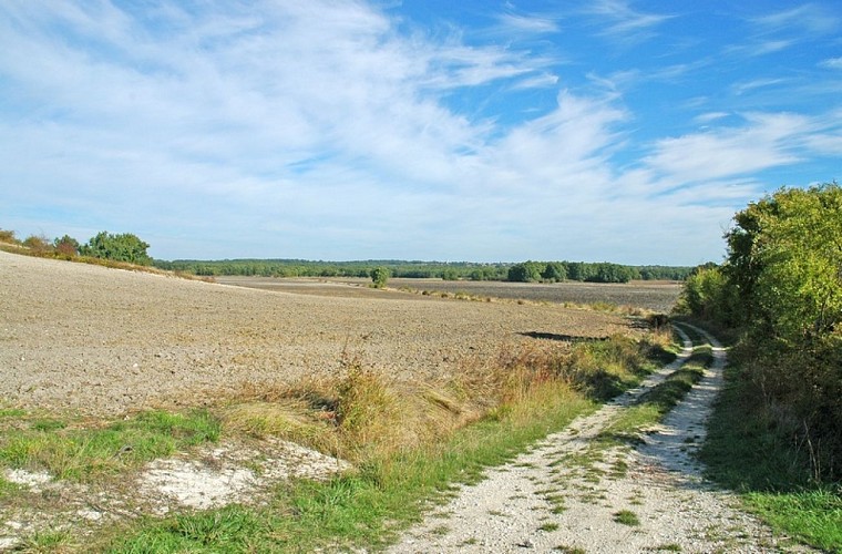 Boucle pdipr entrée est Monmadales