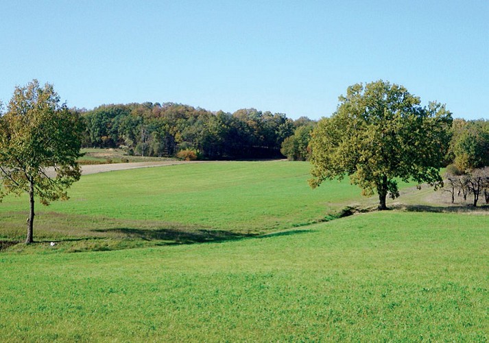 Paysage St Perdoux 2