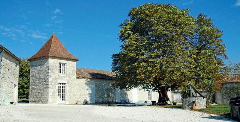 domaine viticole st perdoux