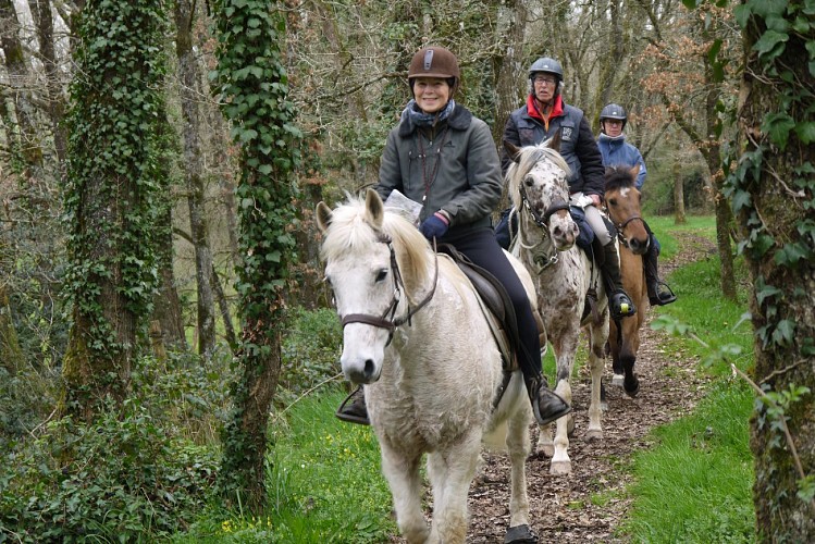 Parcours cheval Boucle de la Forêt de la Corbière La bouexiere