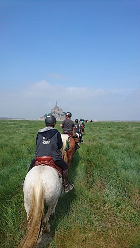 Polders - Ille-et-vilaine