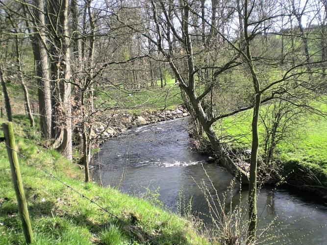 Trail du Pays de Herve - Dalhem 1
