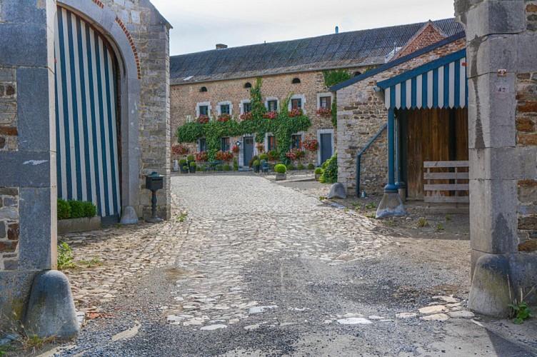 Trail du Pays de Herve - Dalhem 2