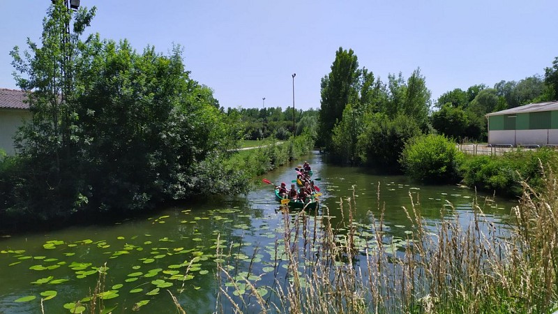 canoë à Montignac-Charente