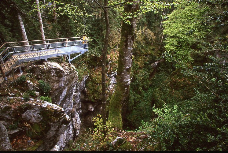 le gouffre des corbeaux