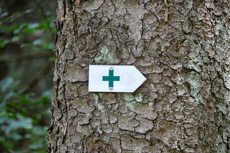Les tourbières sont un biotope des altitudes supérieures à 500m. La tourbe se développe en général dans un milieu presque constamment gorgé d’eau, sous un climat de fraîcheur et d’humidité très défavorable à la décomposition de la matière organique.