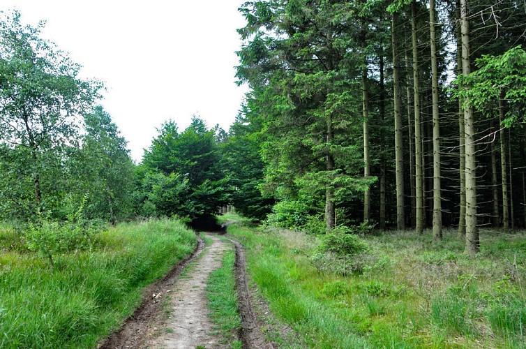 On traverse différents paysages.