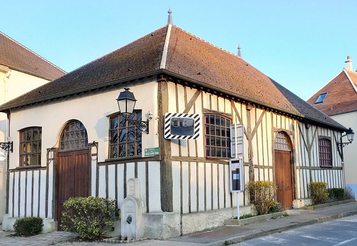 Les berges de l’Aubertin, randonnée pédestre à Bezon-Bazoches, proche de Provins