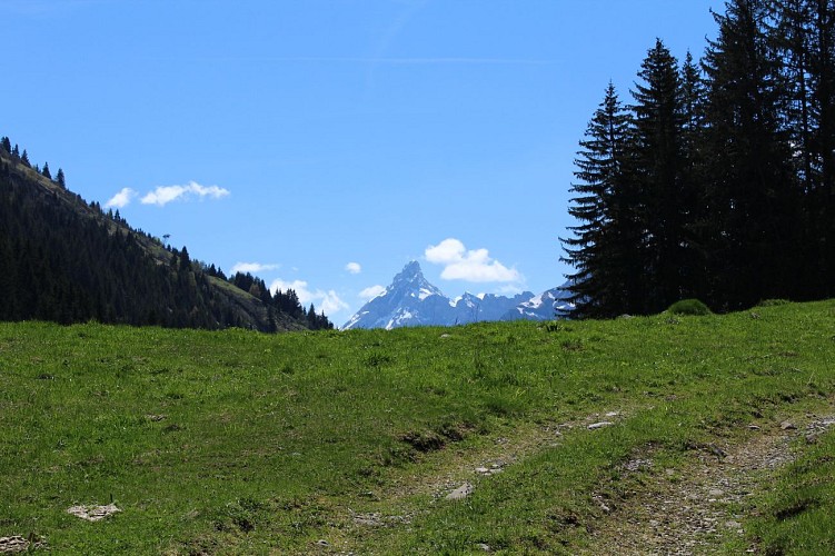 Les Molliets to Haute Combe and Sarbotte
