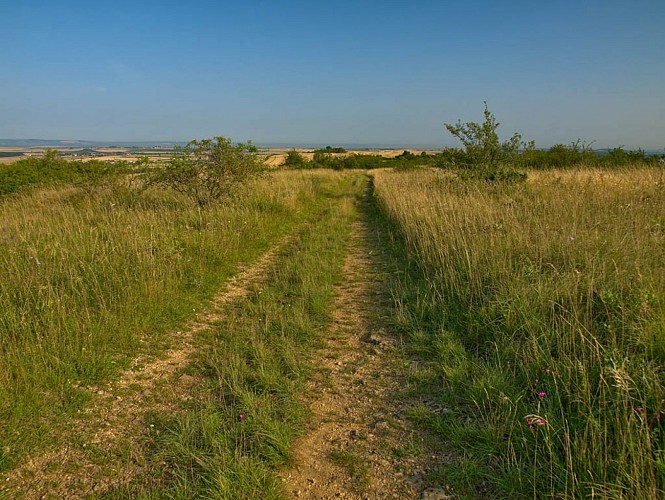 Chemin sur la hauteur