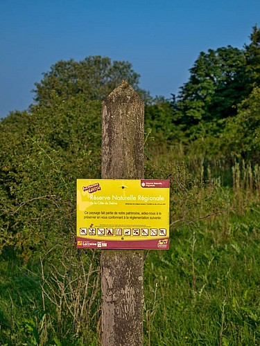 Réserve naturelle Régionale de la Côte de Delme