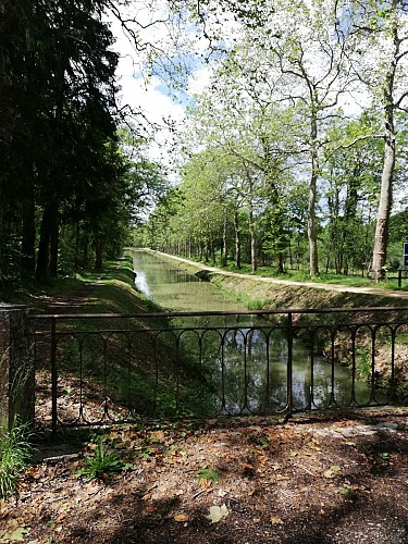 Canal de la Sauldre