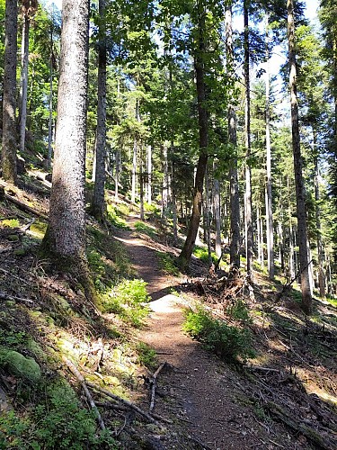 Les sentiers de Pierre Percée - Le petit Canada