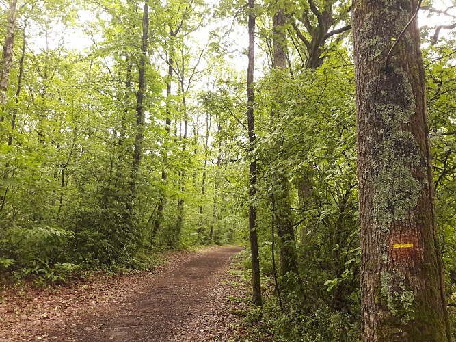 Circuit des Hautes Briottières