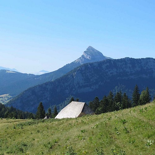 Sommet de Chame chaude depuis le Habert de Billon