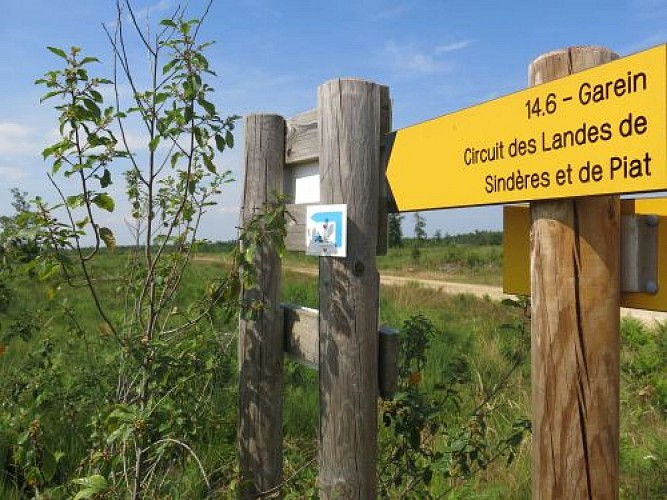 A Garein, la forêt inspiratrice