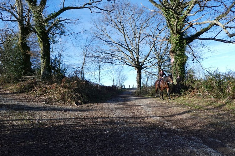 A la croisée du chemin de Buziet 30T 0704388 4777930