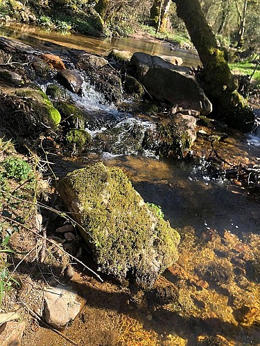 220002682_114.jpeg_1