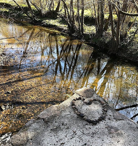 220002682_115.jpeg_2