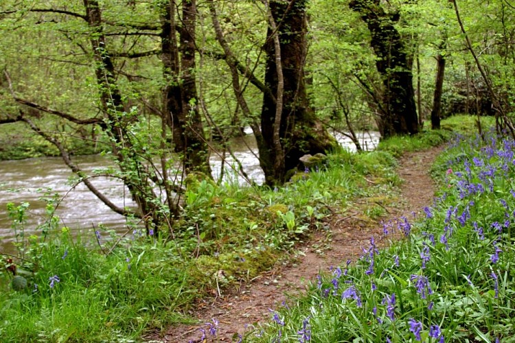 Les gorges de la Voueize