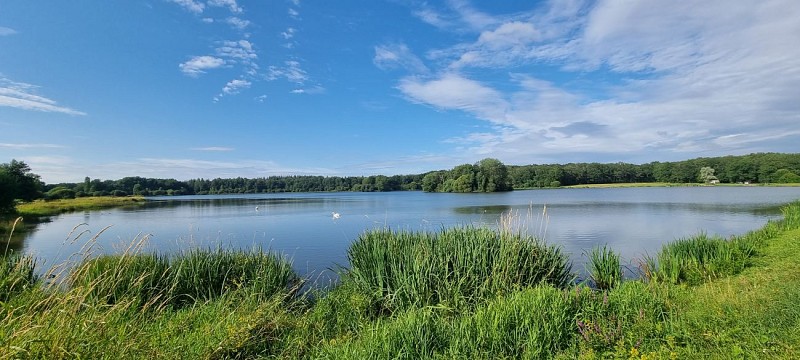 Etang de la Reyberie (9)