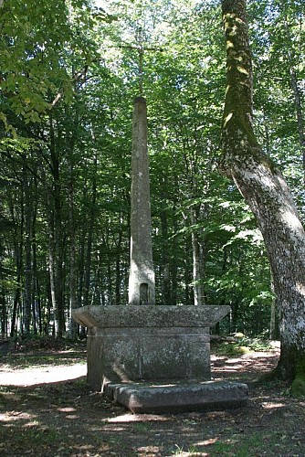 Circuit de randonnée : La vallée de la Méouzette
