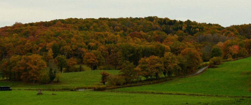 Circuit Pédestre N°32 : Ars et Sémenon