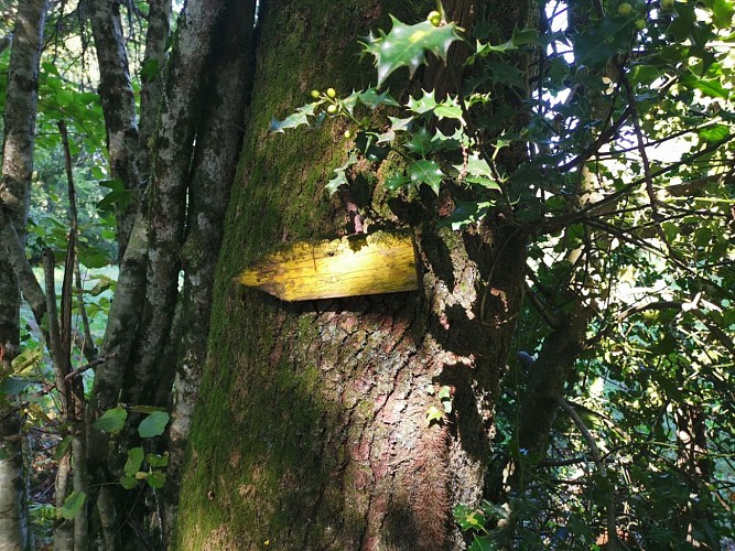 IMG_20200913_154824 (Grand)