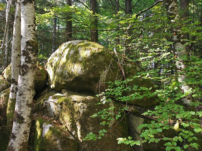 IMG_20200913_155850 (Grand)