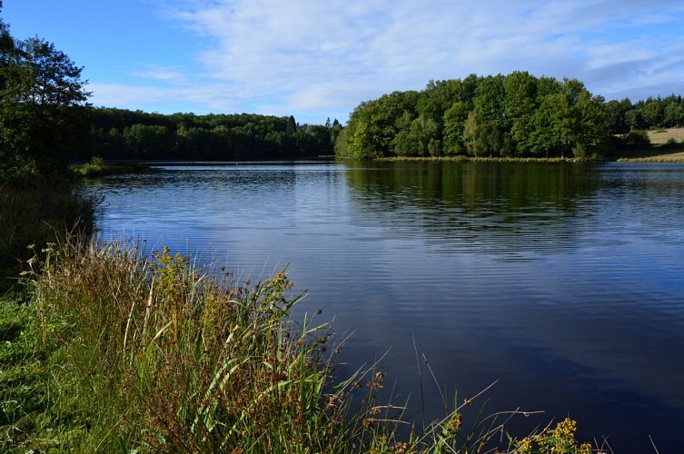 Circuit Pédestre N°11 L'étang du Moulin du Donzeil