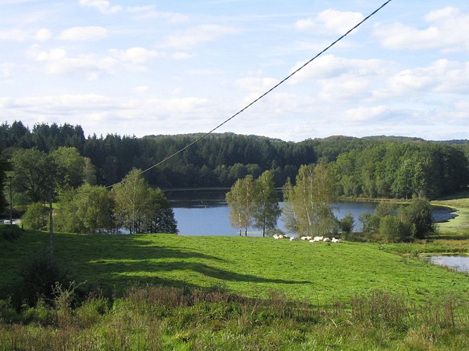 Circuit Pédestre N°11 L'étang du Moulin du Donzeil
