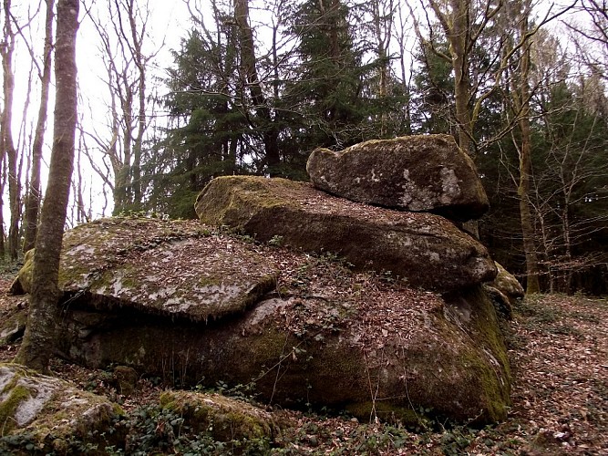 Circuit Pédestre N°6 Le Bois du Thouraud et le maquis