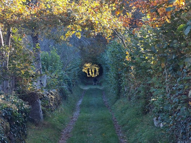 Circuit Pédestre N°20 - Fransèches - Masgot "jardin de pierres et de terre"