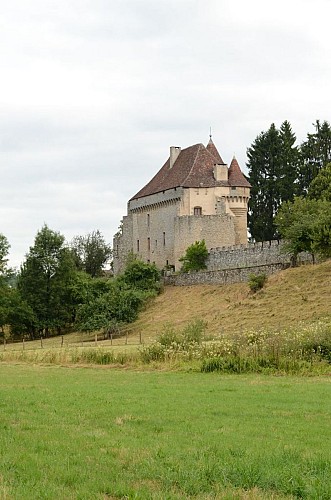 Circuit Pédestre N°4 : "Du Moulin à la Martinèche"