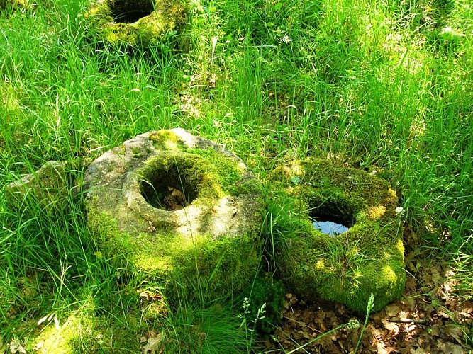 Circuit pédestre N°4 Du moulin à la Martinèche