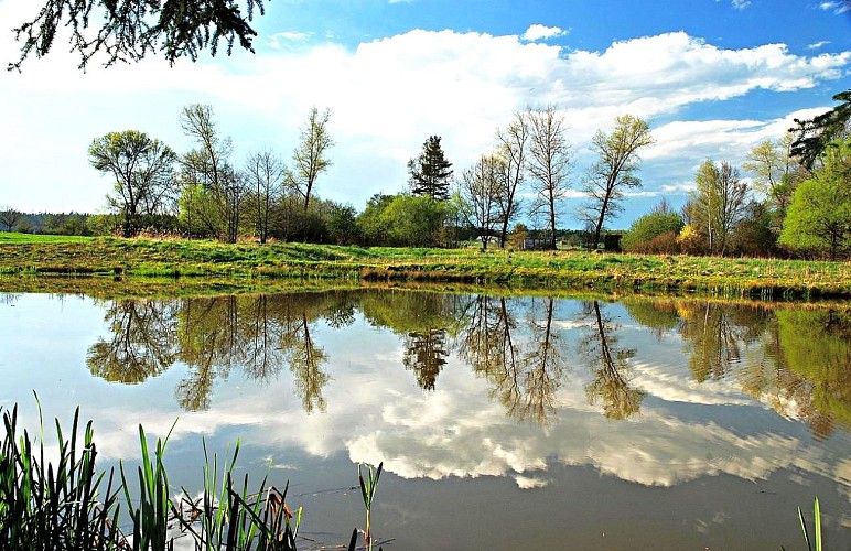 Circuit Gravel Bénévent.jpg_1