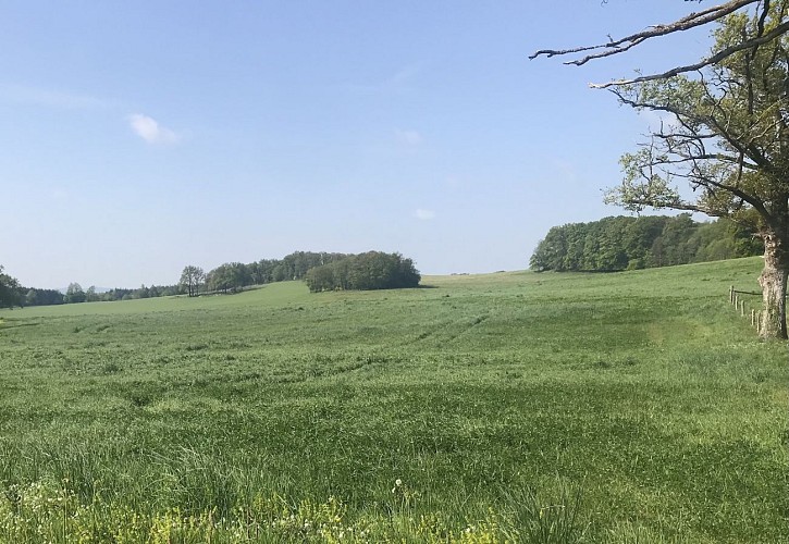 Circuit pédestre n° AU1 D'Aulon à Augères